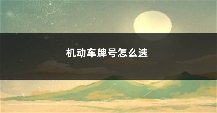 机动车牌号怎么选