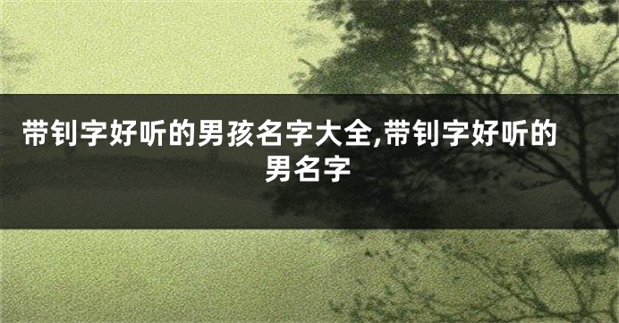 带钊字好听的男孩名字大全,带钊字好听的男名字