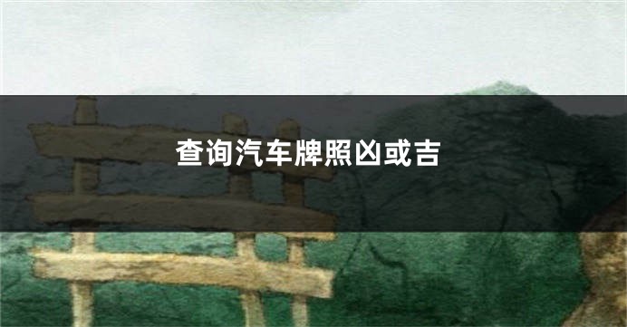 查询汽车牌照凶或吉