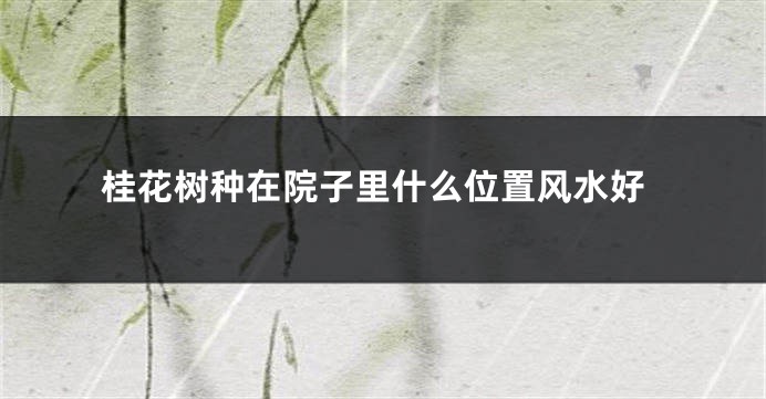 桂花树种在院子里什么位置风水好