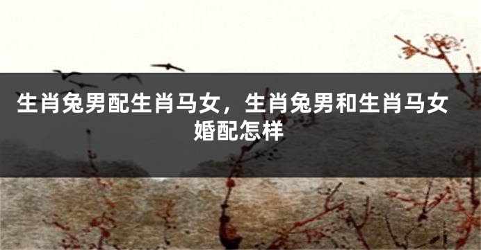 生肖兔男配生肖马女，生肖兔男和生肖马女婚配怎样