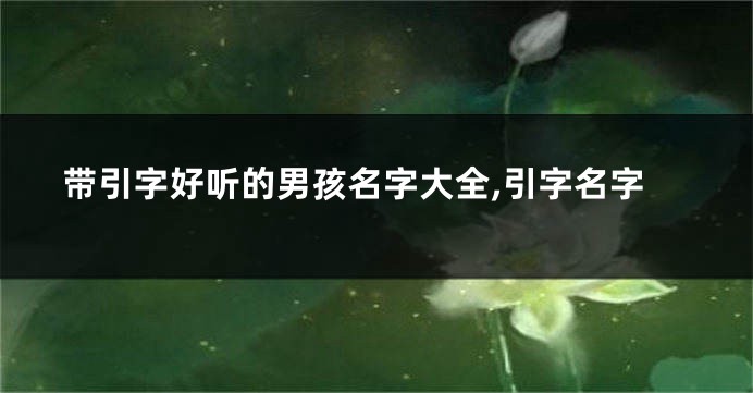 带引字好听的男孩名字大全,引字名字