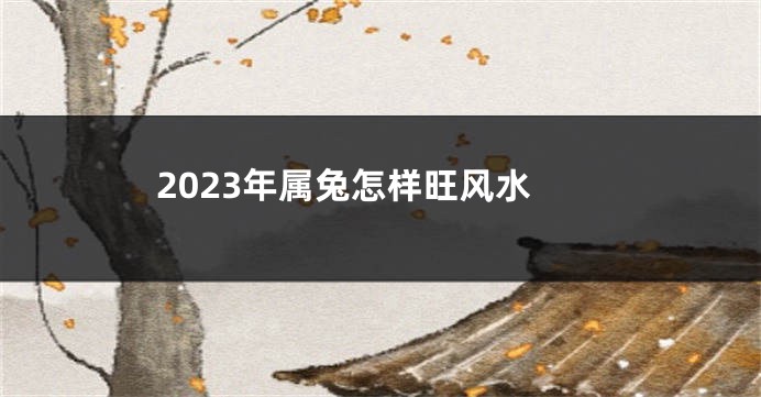 2023年属兔怎样旺风水