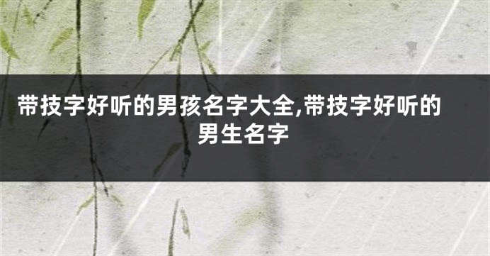 带技字好听的男孩名字大全,带技字好听的男生名字