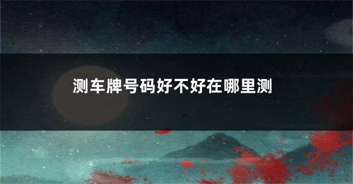 测车牌号码好不好在哪里测