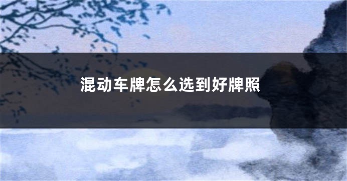 混动车牌怎么选到好牌照