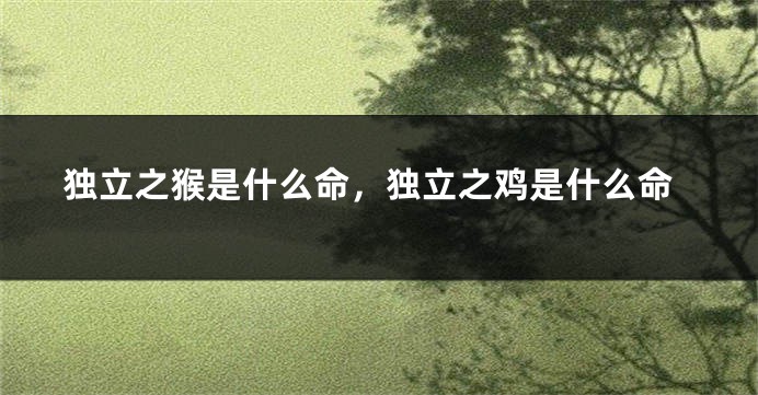 独立之猴是什么命，独立之鸡是什么命