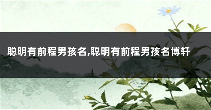 聪明有前程男孩名,聪明有前程男孩名博轩