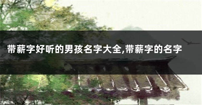 带薪字好听的男孩名字大全,带薪字的名字