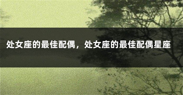 处女座的最佳配偶，处女座的最佳配偶星座