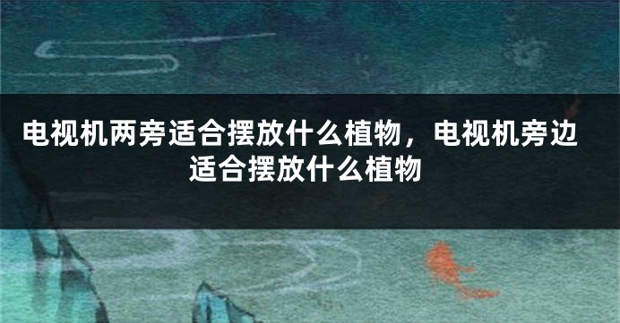 电视机两旁适合摆放什么植物，电视机旁边适合摆放什么植物