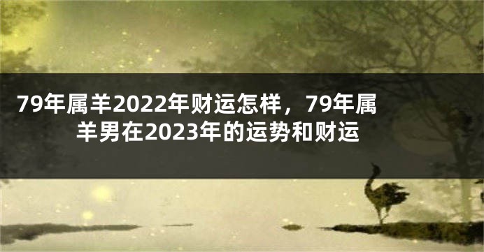 79年属羊2022年财运怎样，79年属羊男在2023年的运势和财运