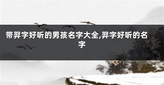 带羿字好听的男孩名字大全,羿字好听的名字