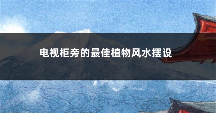 电视柜旁的最佳植物风水摆设