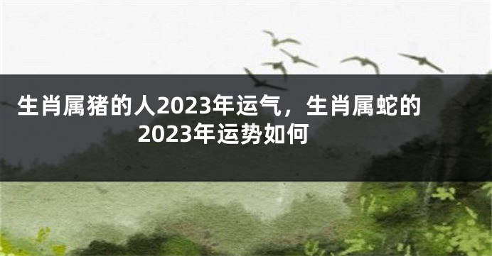 生肖属猪的人2023年运气，生肖属蛇的2023年运势如何