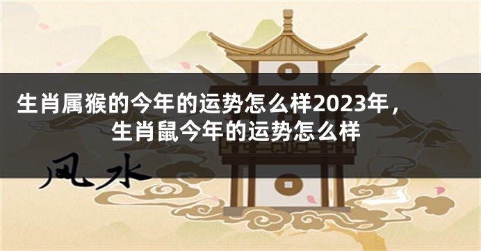 生肖属猴的今年的运势怎么样2023年，生肖鼠今年的运势怎么样