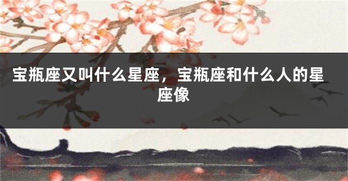 宝瓶座又叫什么星座，宝瓶座和什么人的星座像