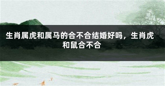 生肖属虎和属马的合不合结婚好吗，生肖虎和鼠合不合
