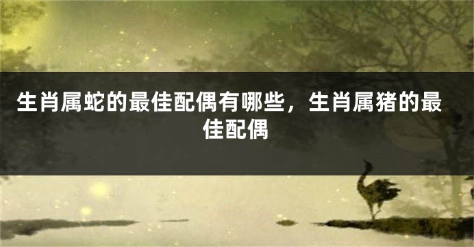 生肖属蛇的最佳配偶有哪些，生肖属猪的最佳配偶