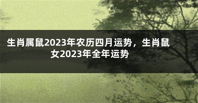 生肖属鼠2023年农历四月运势，生肖鼠女2023年全年运势