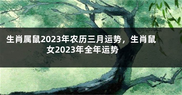 生肖属鼠2023年农历三月运势，生肖鼠女2023年全年运势
