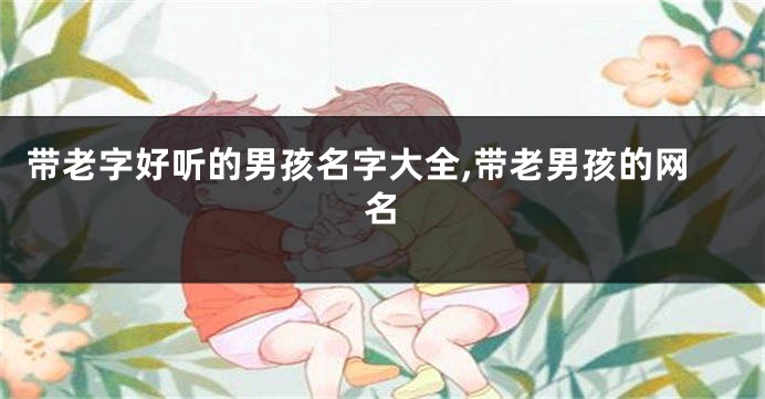 带老字好听的男孩名字大全,带老男孩的网名
