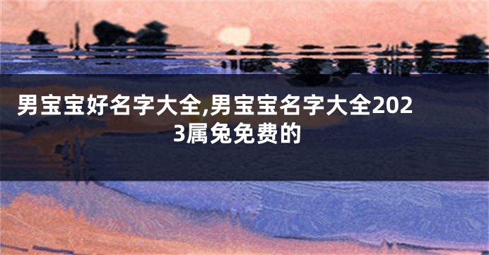男宝宝好名字大全,男宝宝名字大全2023属兔免费的
