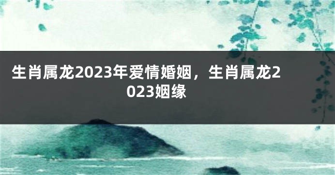 生肖属龙2023年爱情婚姻，生肖属龙2023姻缘