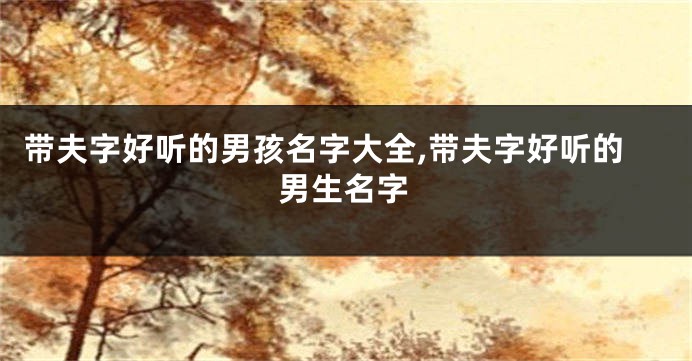 带夫字好听的男孩名字大全,带夫字好听的男生名字