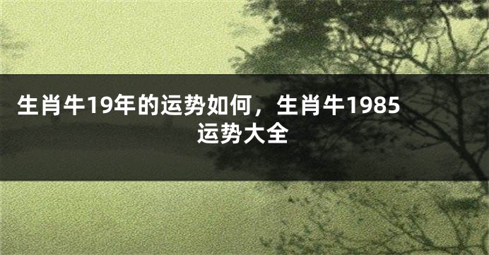 生肖牛19年的运势如何，生肖牛1985运势大全