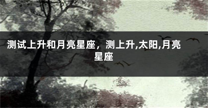 测试上升和月亮星座，测上升,太阳,月亮星座