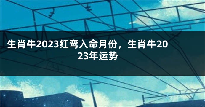 生肖牛2023红鸾入命月份，生肖牛2023年运势