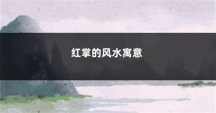 红掌的风水寓意