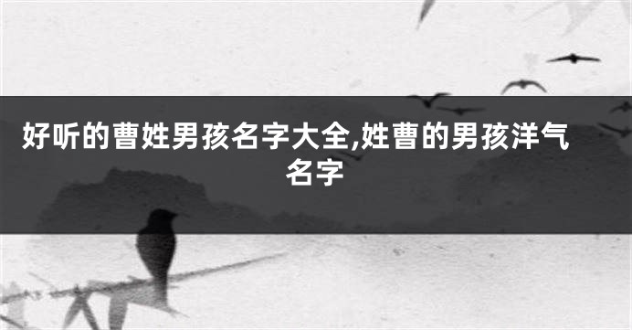 好听的曹姓男孩名字大全,姓曹的男孩洋气名字