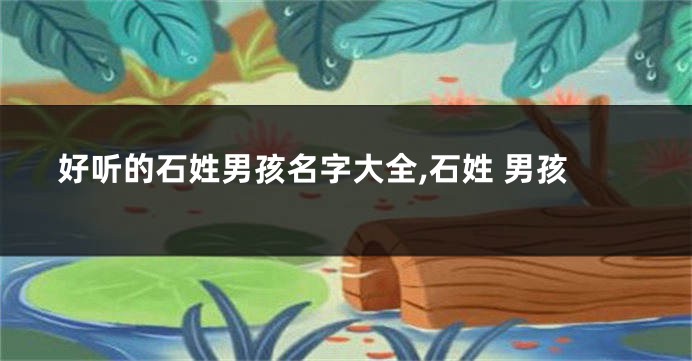 好听的石姓男孩名字大全,石姓 男孩