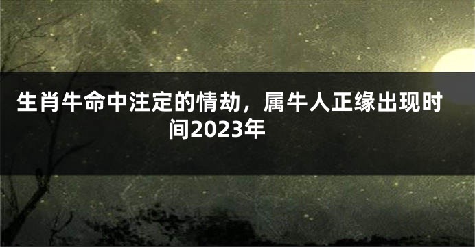 生肖牛命中注定的情劫，属牛人正缘出现时间2023年