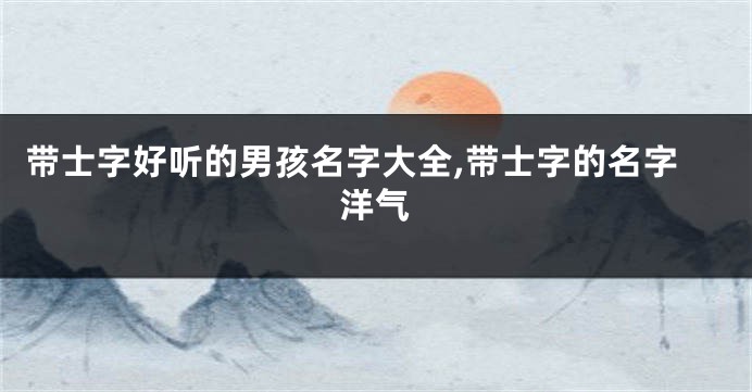 带士字好听的男孩名字大全,带士字的名字洋气