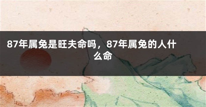 87年属兔是旺夫命吗，87年属兔的人什么命