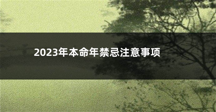 2023年本命年禁忌注意事项