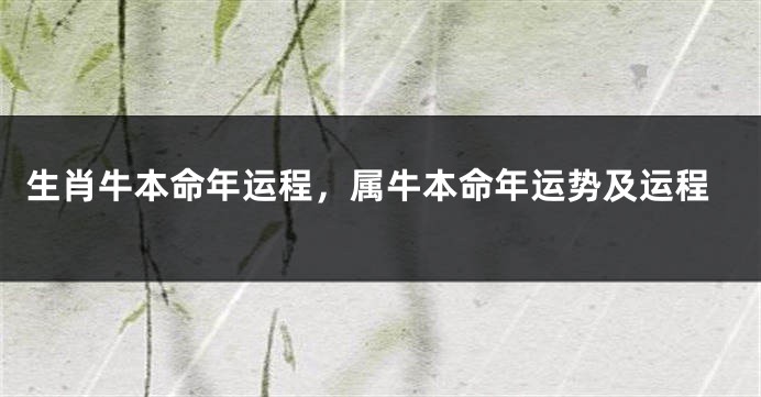 生肖牛本命年运程，属牛本命年运势及运程
