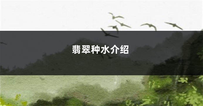 翡翠种水介绍