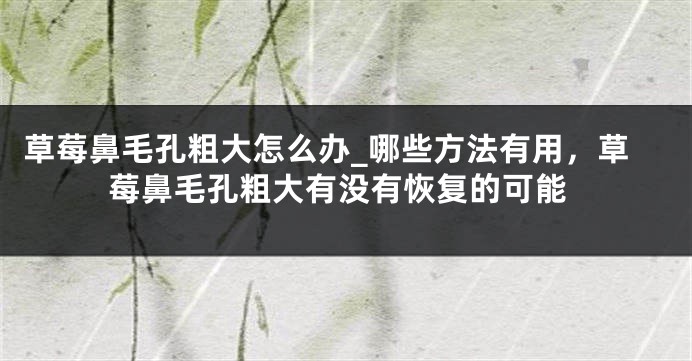 草莓鼻毛孔粗大怎么办_哪些方法有用，草莓鼻毛孔粗大有没有恢复的可能