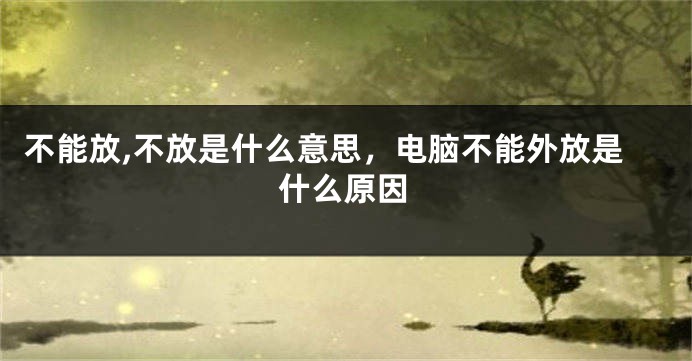 不能放,不放是什么意思，电脑不能外放是什么原因
