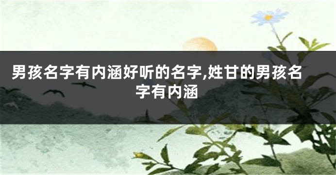 男孩名字有内涵好听的名字,姓甘的男孩名字有内涵