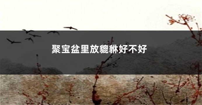聚宝盆里放貔貅好不好