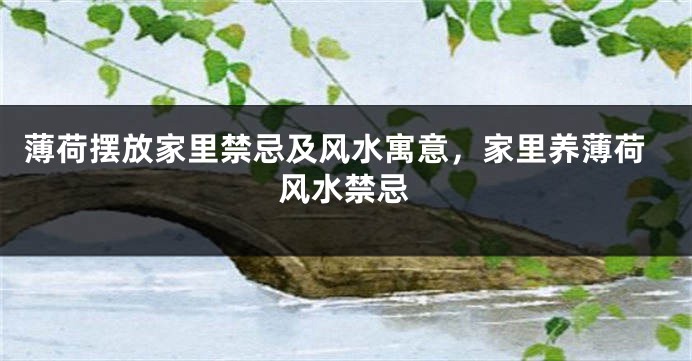薄荷摆放家里禁忌及风水寓意，家里养薄荷风水禁忌