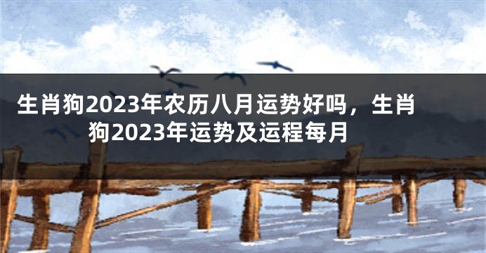 生肖狗2023年农历八月运势好吗，生肖狗2023年运势及运程每月