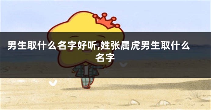 男生取什么名字好听,姓张属虎男生取什么名字