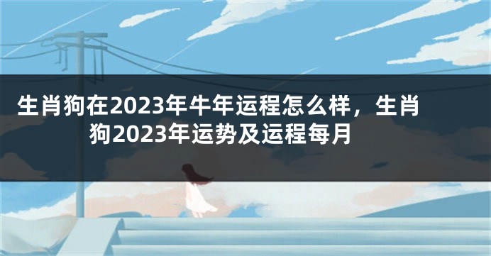 生肖狗在2023年牛年运程怎么样，生肖狗2023年运势及运程每月