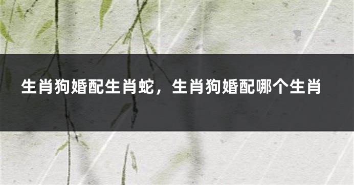 生肖狗婚配生肖蛇，生肖狗婚配哪个生肖